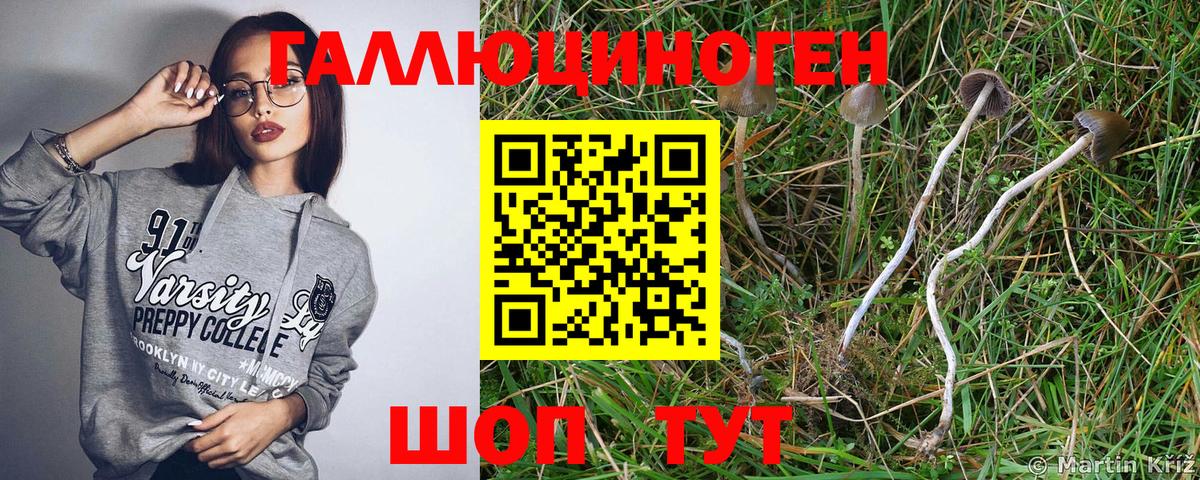 Ухта  Галлюциногенные грибы прущие грибы  Вход с VPN  цена наркотик  Псилоцибиновые грибы ЛСД 
